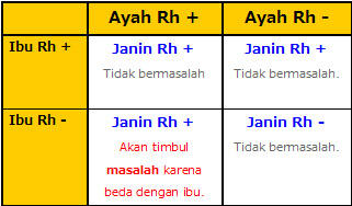 Sebelum Menikah, Kenali Dulu Rhesus Untuk Keturunan (PENTING) | KASKUS