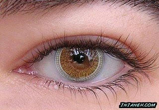 Softlens Unik Ada yang Mau?