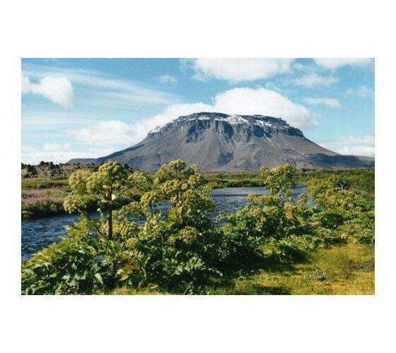Keindahan Cakrawala Alam Islandia 