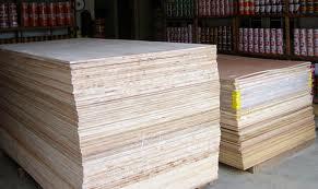 21 Rekor Indonesia di Dunia