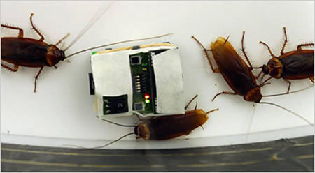 11 Robot - Robot Tercanggih Didunia