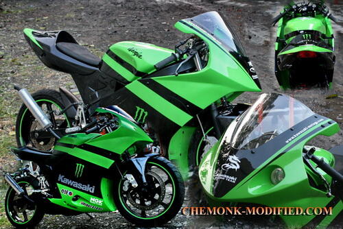 Kawasaki Ninja 150 Custome