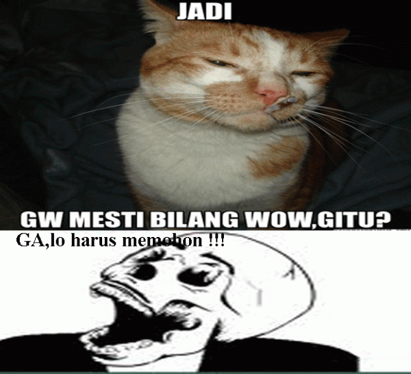 WOW
