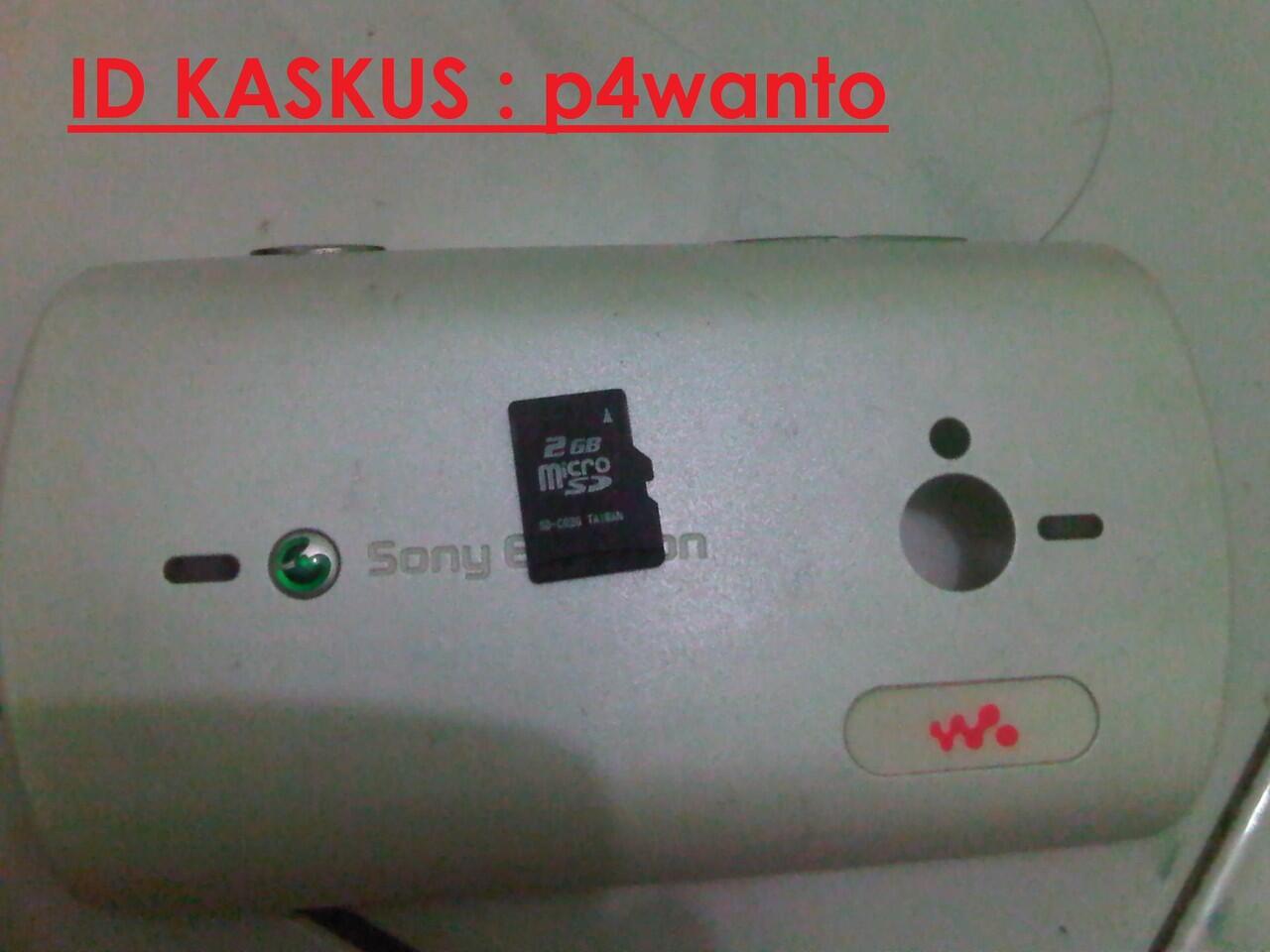 sony ericsson WT19i White