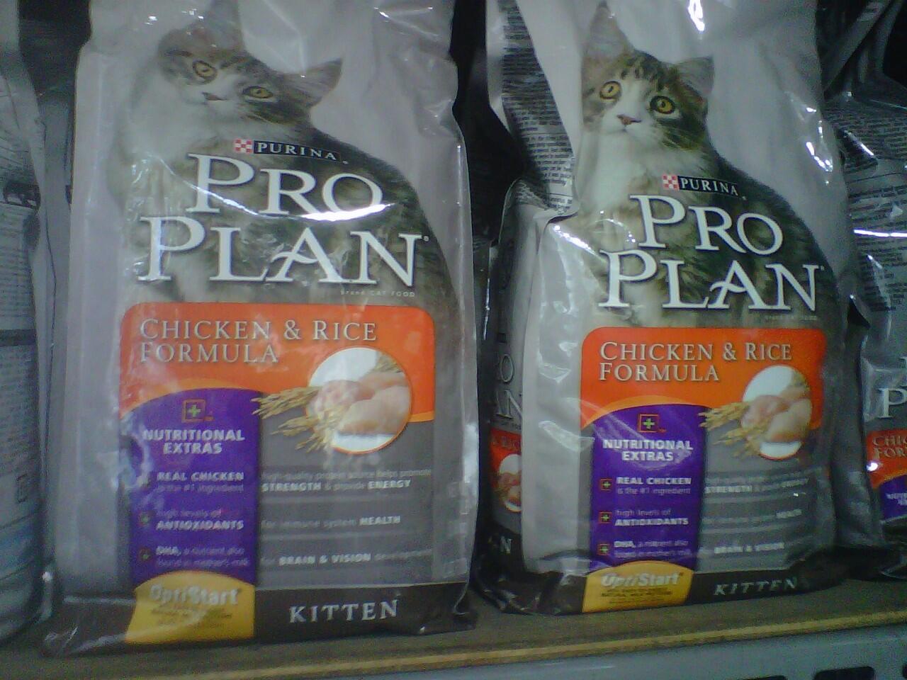 cat and dog food