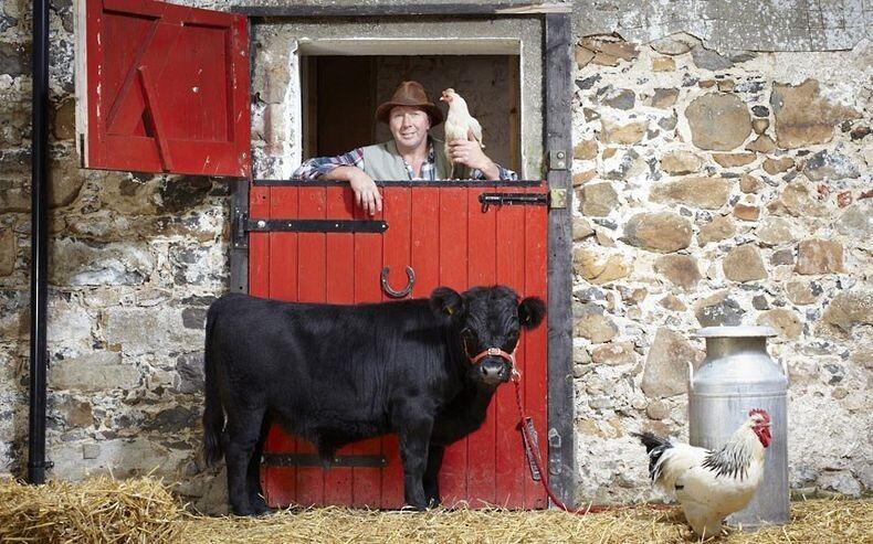 New Entries to The Guinness World Records 2013
