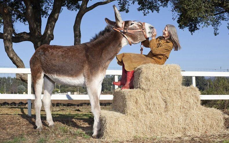 New Entries to The Guinness World Records 2013