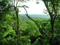 10 kota hilang yg berhasil di temukan di dunia