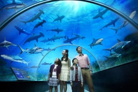  Akuarium terbesar sejagat dibuka di Singapura