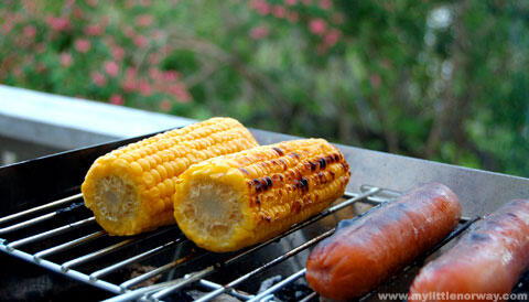 Menjelang tahun baru…lets BARBEQUEING!!! Tips n Tricks