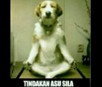 Benar2 tindakan Asusila,,!!!!!!(pict)