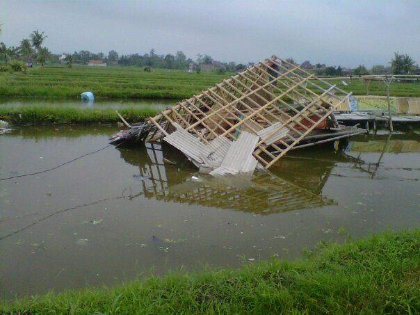 YOGYAKARTA DITERPA PUTING BELIUNG