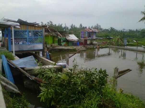 YOGYAKARTA DITERPA PUTING BELIUNG