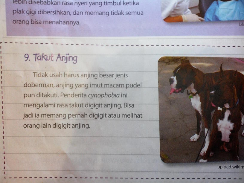 10 fobia yang paling di alami manusia &gt;masuk&lt;,,