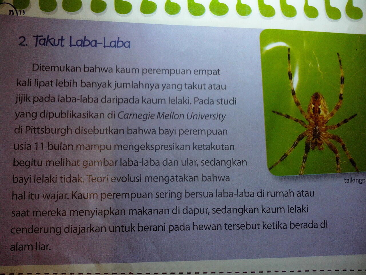 10 fobia yang paling di alami manusia &gt;masuk&lt;,,