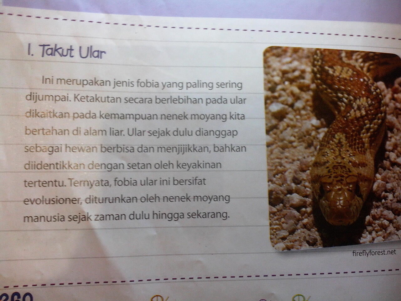 10 fobia yang paling di alami manusia &gt;masuk&lt;,,