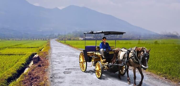 Inilah Bangsa Indonesia (Bangsa &amp; Tanah Air ku) 