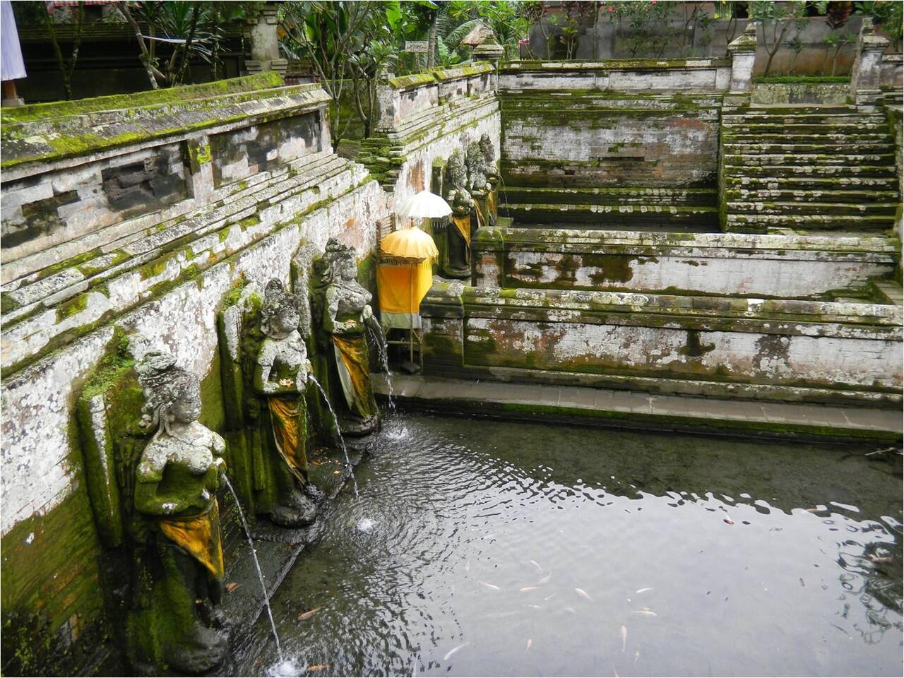 nuansa keindahan alam di bali