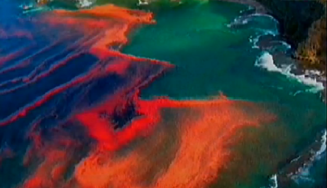 Red Tide, Permainan Warna Laut yang Menyimpan Bahaya
