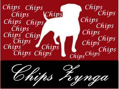 Jual chip zynga poker online