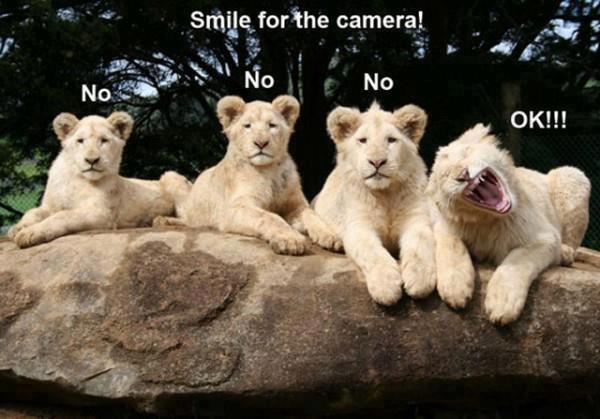 &#91;NGAKAK&#93; KETAWA DULU SEBELUM BOBO PIC++