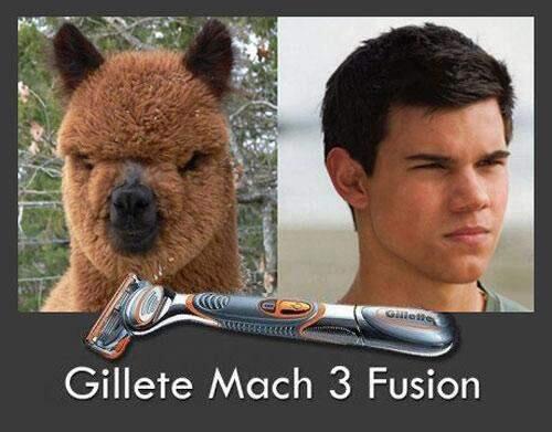 &#91;NGAKAK&#93; KETAWA DULU SEBELUM BOBO PIC++