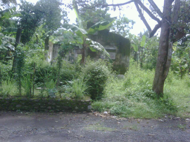 Dijual Tanah Kavling di Tanjung Kedungwrngin Patikraja Purwokerto Banyumas