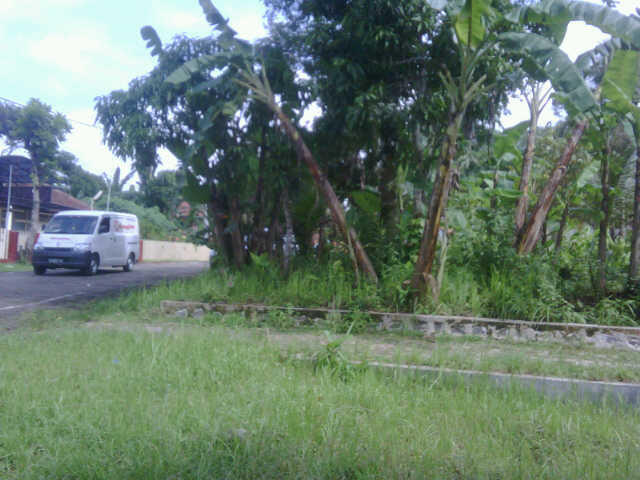 Dijual Tanah Kavling di Tanjung Kedungwrngin Patikraja Purwokerto Banyumas