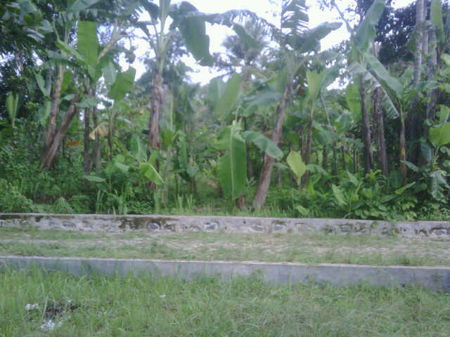 Dijual Tanah Kavling di Tanjung Kedungwrngin Patikraja Purwokerto Banyumas