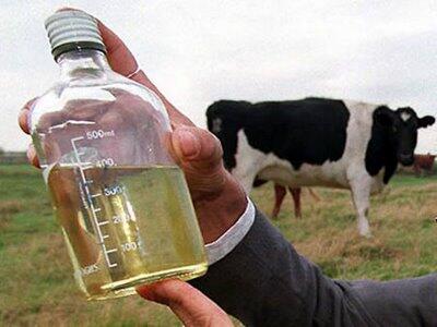 Soft Drink Teraneh Dan Terunik Di Dunia (plus pics)