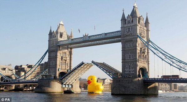 Wow, Ada Bebek Raksasa Berlayar di Sungai Thames
