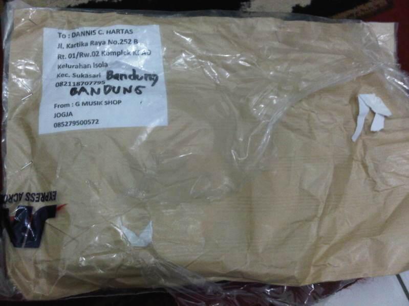 Jual Gitar Rockwell PV22 Model Flying V