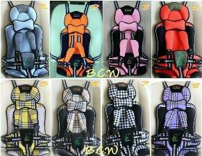 Portable Carseat
