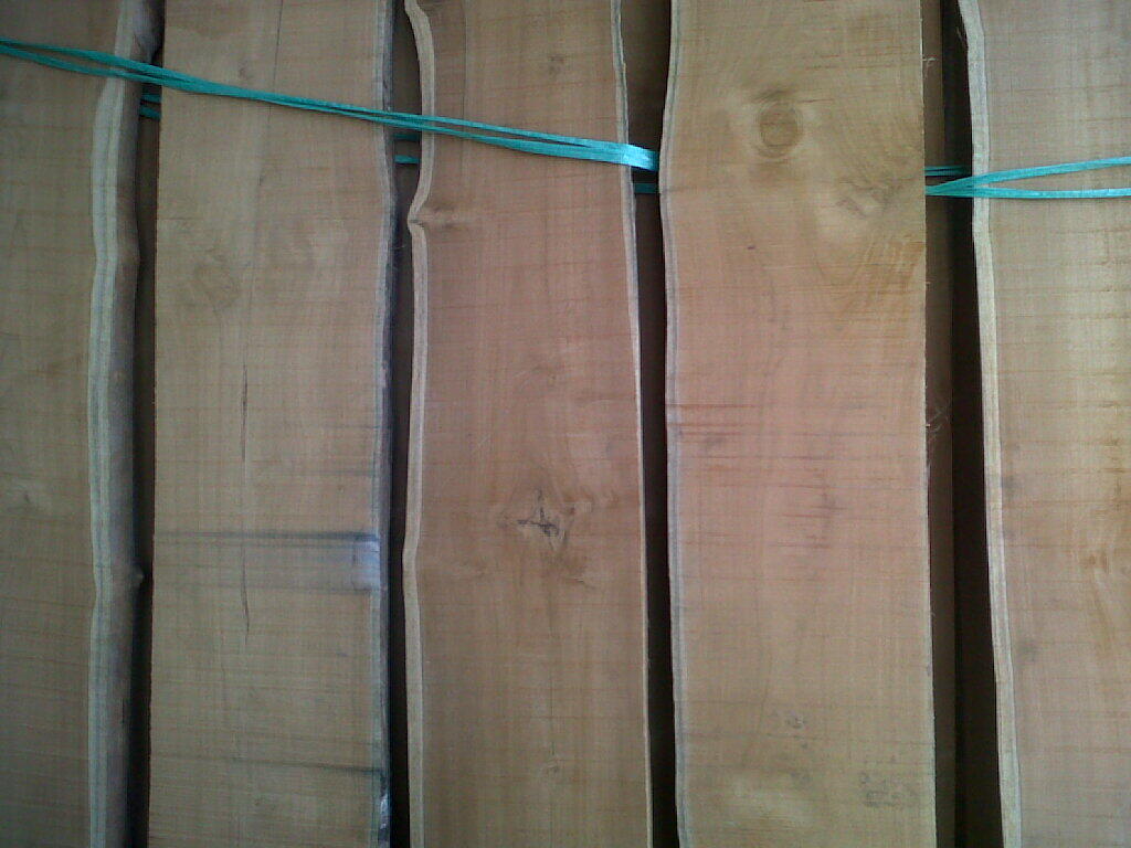 Terjual Kayu Jati Lepas Putih Kaskus Terjual Kayu Jati Lepas Putih Kaskus