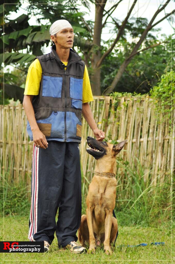 DVD PELATIHAN ANJING BERBAHASA INDONESIA PERTAMA DI DUNIA,MUDAH DIMENGERTI &PRAKTEKAN;