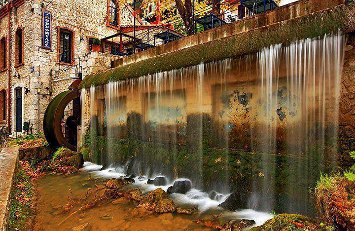 AMAZING THINGS IN THE WORLD