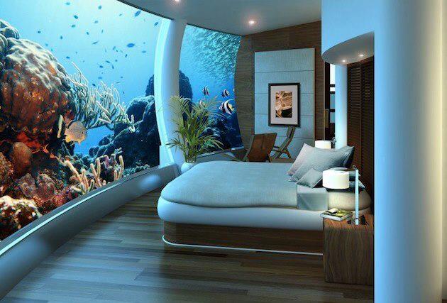 AMAZING THINGS IN THE WORLD