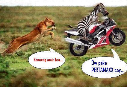 Wapezy