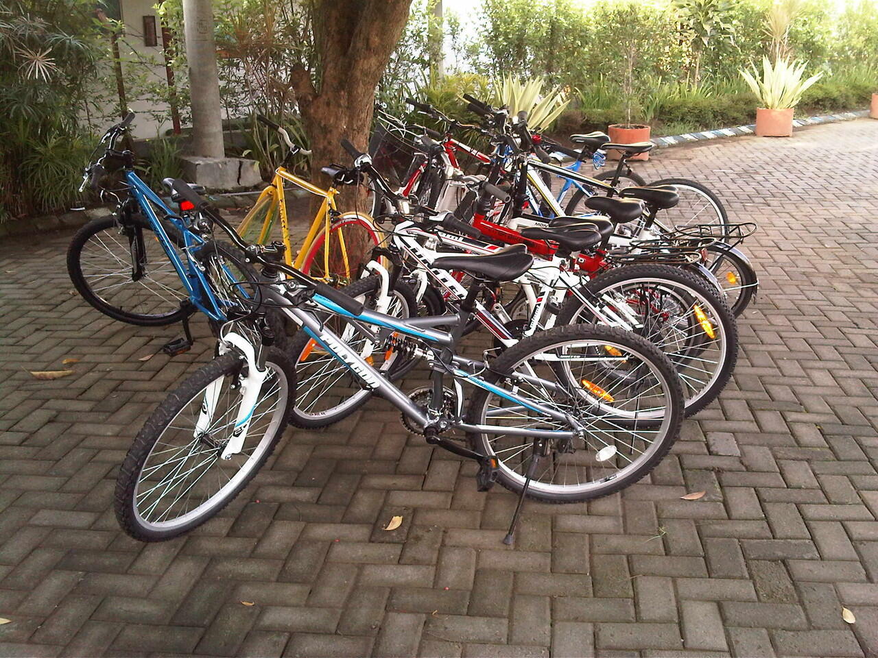 Rental Bike Malang