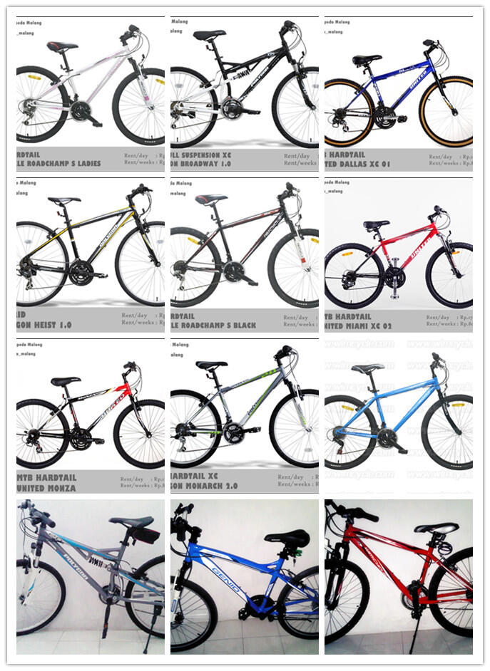 Rental Bike Malang