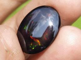 BLACK OVAL