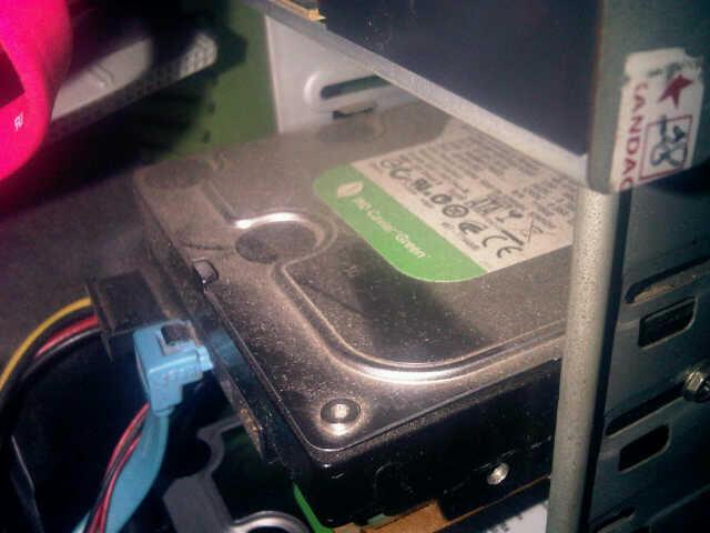 Beli Hardisk Eksternal merek apa saja 1 TB