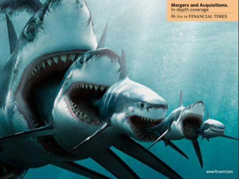 580 Koleksi Gambar Penampakan Hiu Megalodon Gratis Terbaik