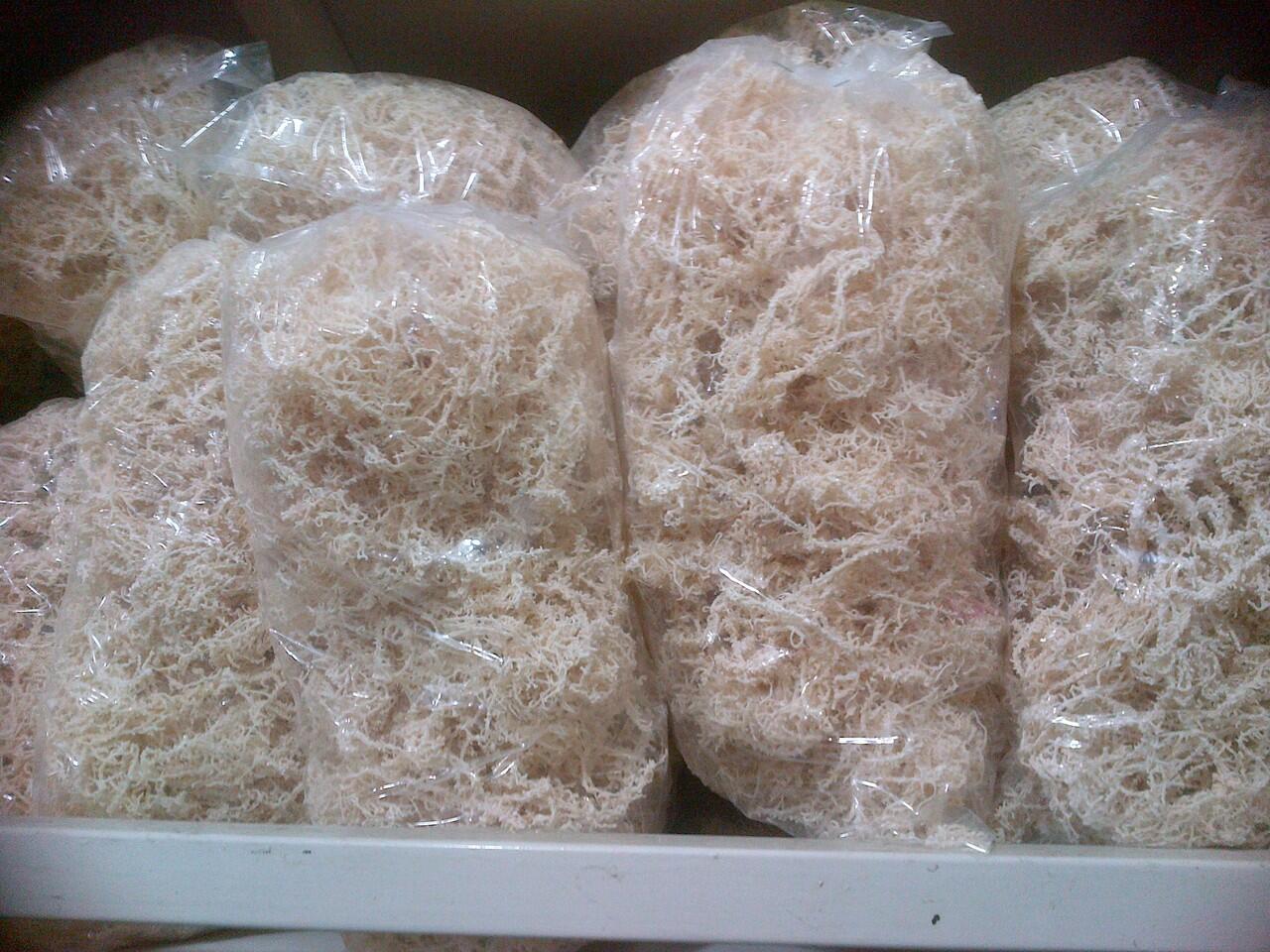 rumput laut kering