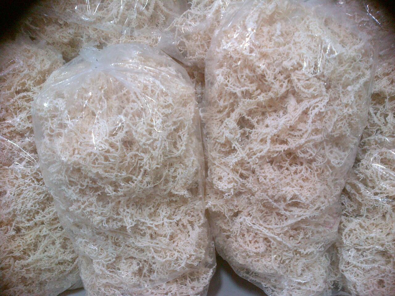 rumput laut kering