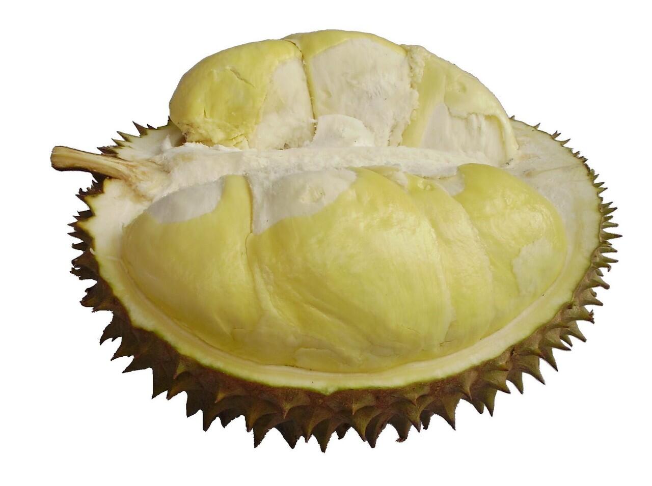 beberapa jenis Durian di Indonesia