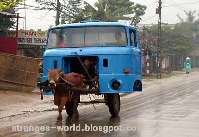 Aktivitas ini hanya terjadi di Vietnam