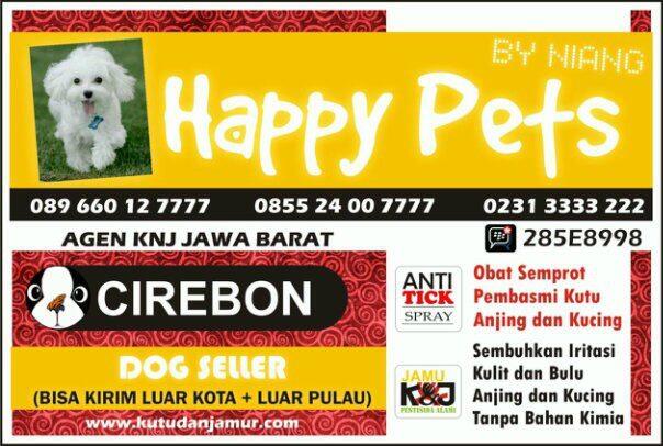obat kutu dan jamur