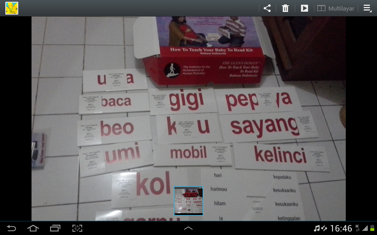 Ada yang mo jual flashcard Glenn Doman (second) keluaran Tigaraksa ?