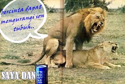 MIRIS KORBAN IKLAN,BERCINTA DAPAT MENGURANGI ION TUBUH ( WITH PICT)